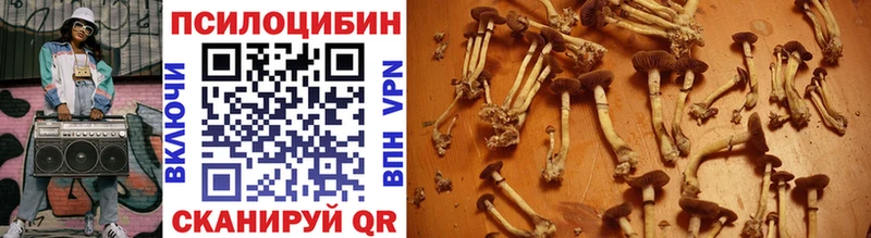 Галлюциногенные грибы мицелий Агрыз